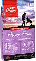УЦІНКА Сухий корм Orijen Puppy Large для цуценят великих порід