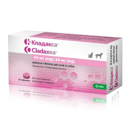 Препарат Cladaxxa антибактеріальний для котів і собак, 40/10 мг 10 таблеток