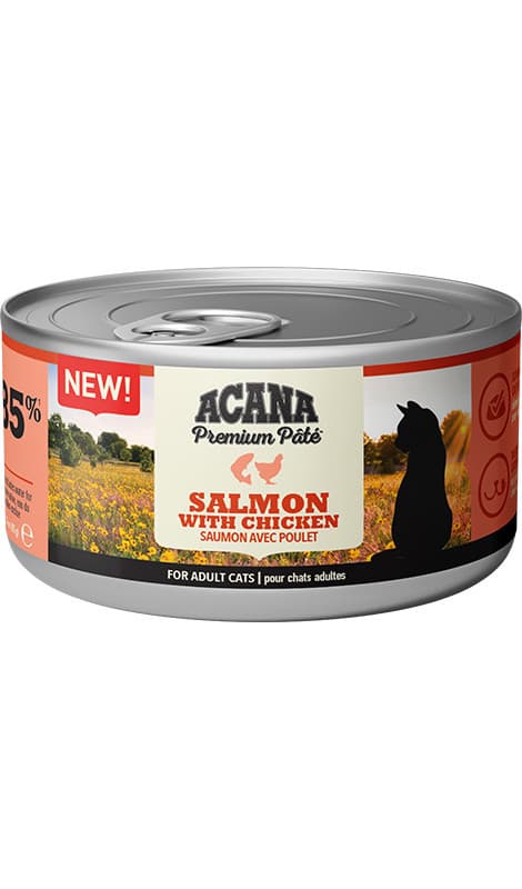 Консервований корм Acana Premium Pate Adult Salmon with Chicken з лососем і куркою для дорослих котів