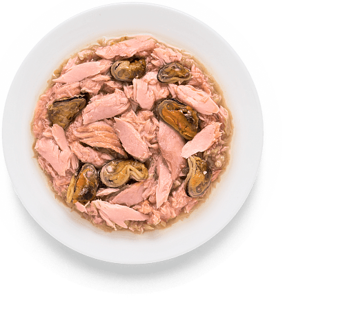 Консервований корм Grandorf Tuna Fillet & Salmon з тунцем та лососем для котів
