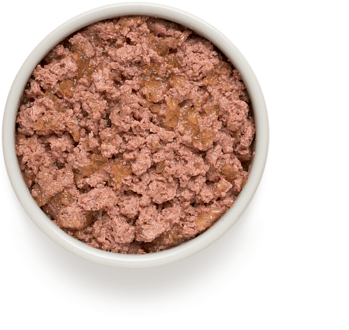 Вологий корм Grandorf Lamb & Turkey консерва з ягням та індичкою для цуценят