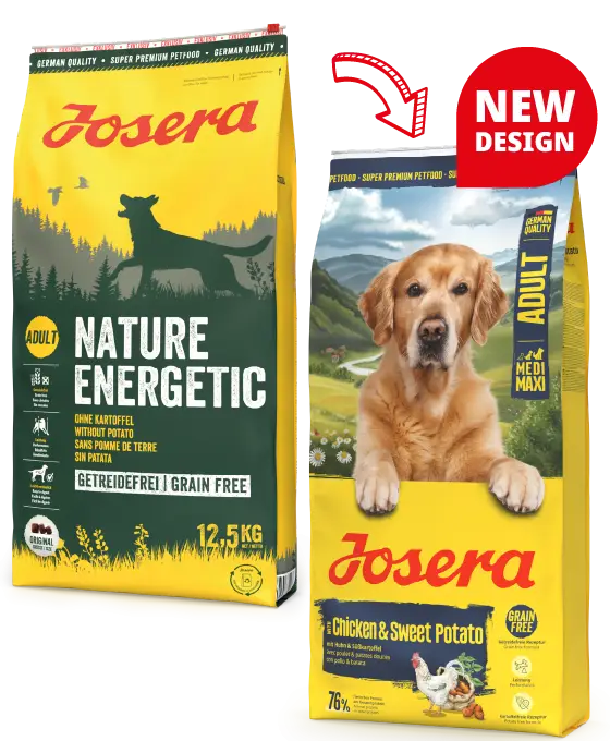 Сухий корм Josera Chicken & Sweet Potato без зернових для середніх і великих собак